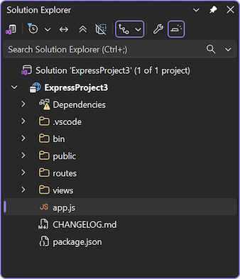 Screenshot of the new project open in Solution Explorer in Visual Studio.